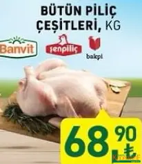 ERPİLİÇ/BEYPİLİÇ/BANVİT/ŞENPİLİÇ/BAKPİ BÜTÜN PİLİÇ ÇEŞİTLERİ KG
